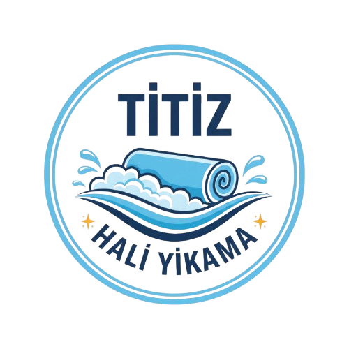 Çankaya Titiz Halı Yıkama Logo